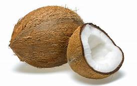 fp coconut