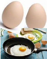 fp egg pan